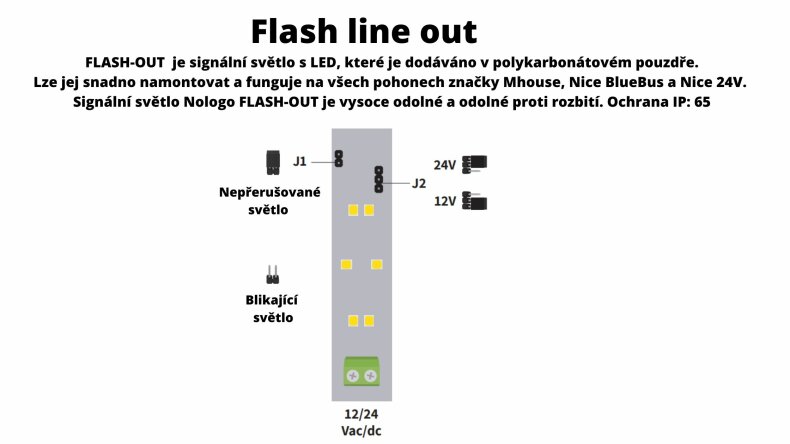 Flash-in-6-.jpg